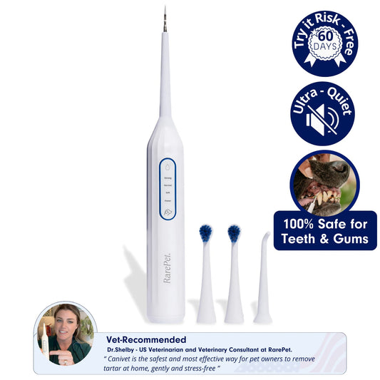 Canivet Kit - Silent Sonic Plaque & Tartar Remover For Dogs