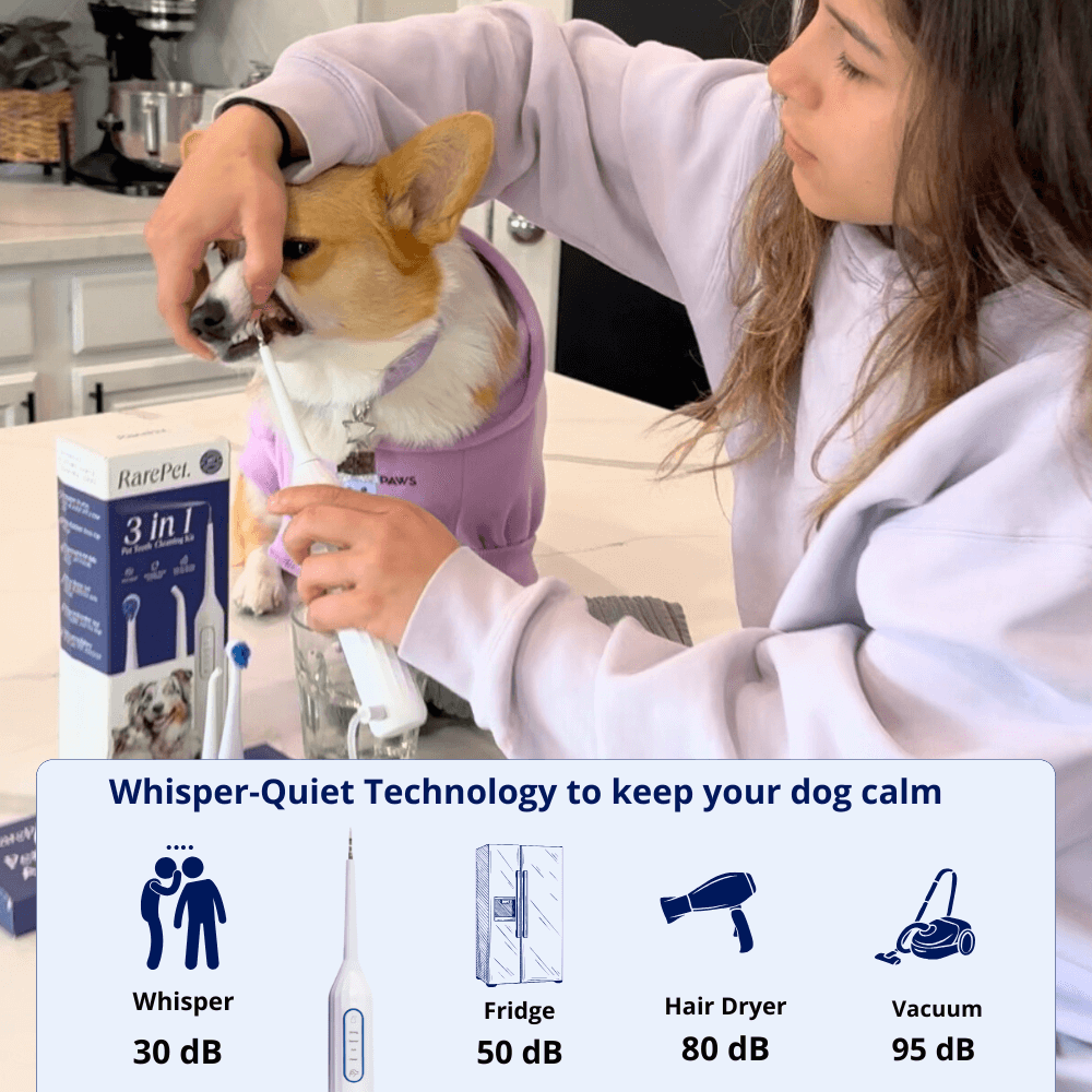 Canivet Kit - Silent Sonic Plaque & Tartar Remover For Dogs