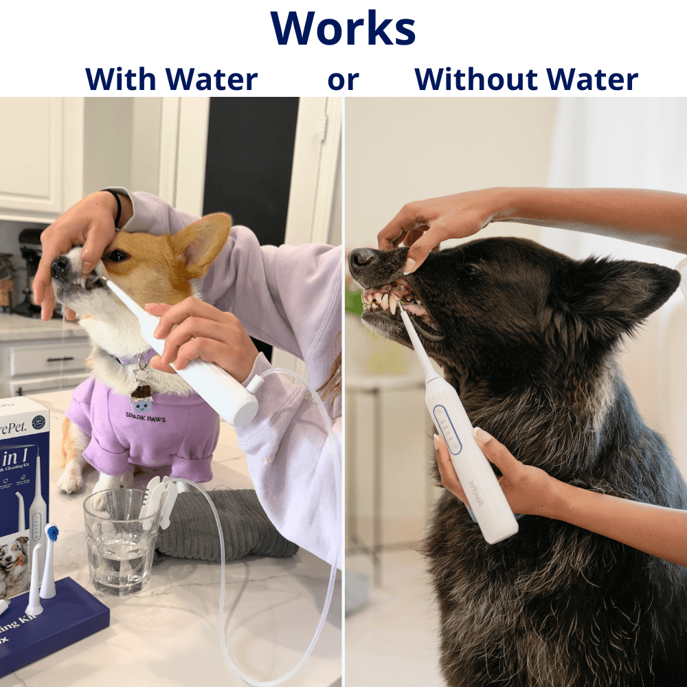 Canivet Kit - Silent Sonic Plaque & Tartar Remover For Dogs
